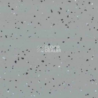 Линолеум Gerflor Taralay Premium Indiana 4003 Tao фото 1 | FLOORDEALER